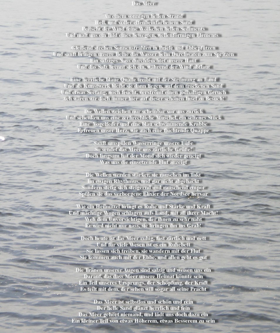 Das Meer Nordseefauna2016